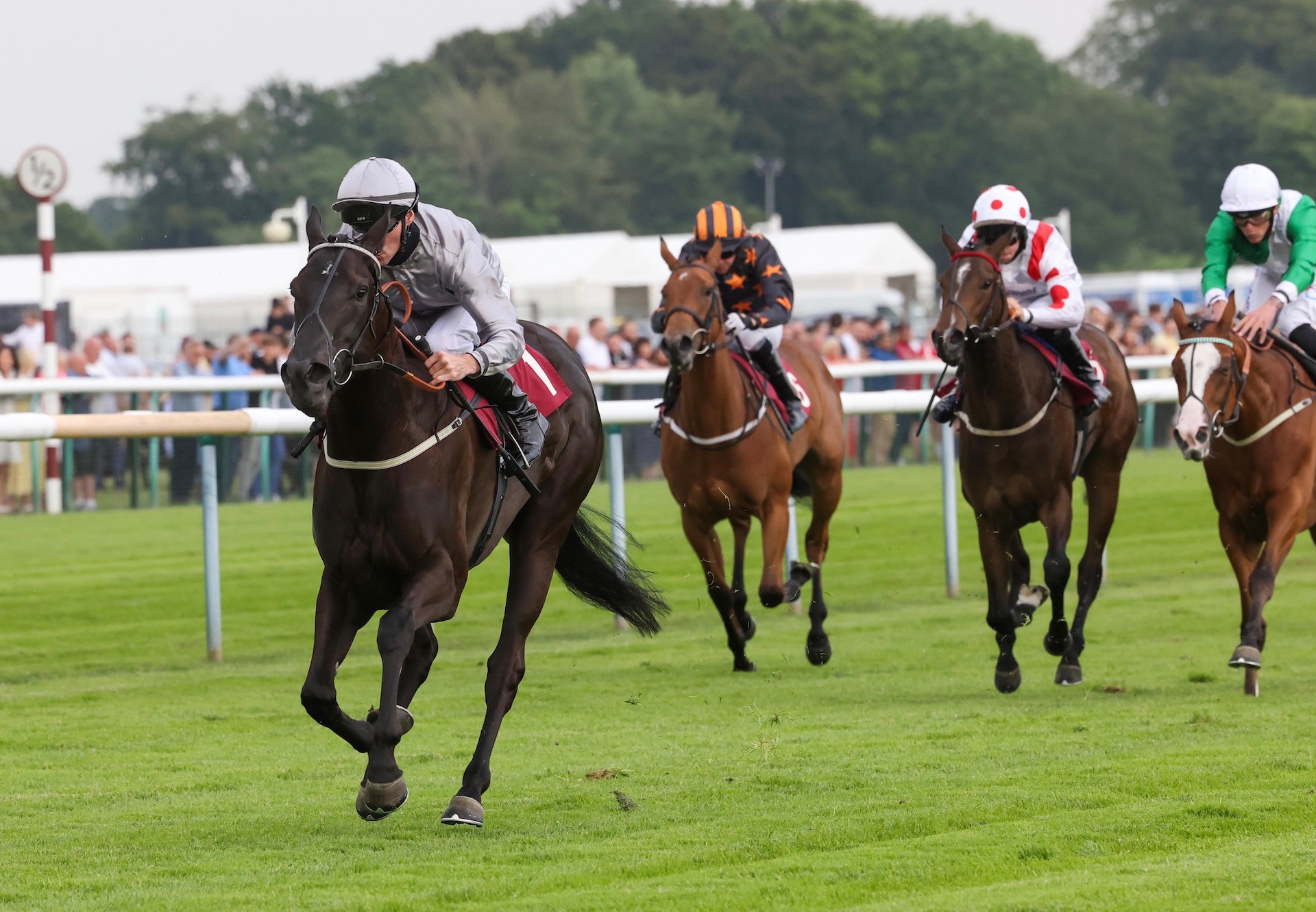 Wootton Bassett Filly Impresses At Haydock