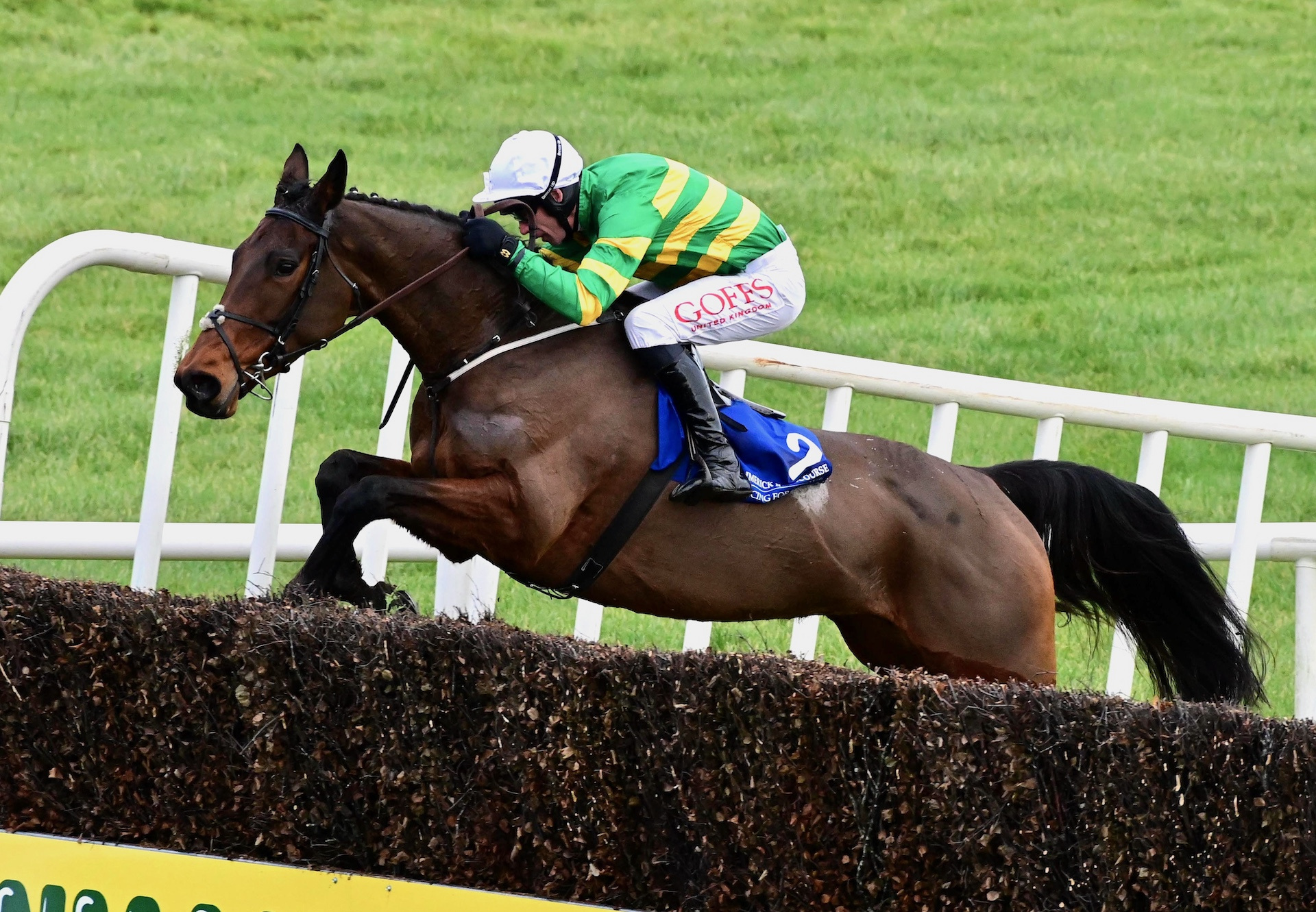 Walk In The Park Mare Impresses In Grade 2 On Chase Debut