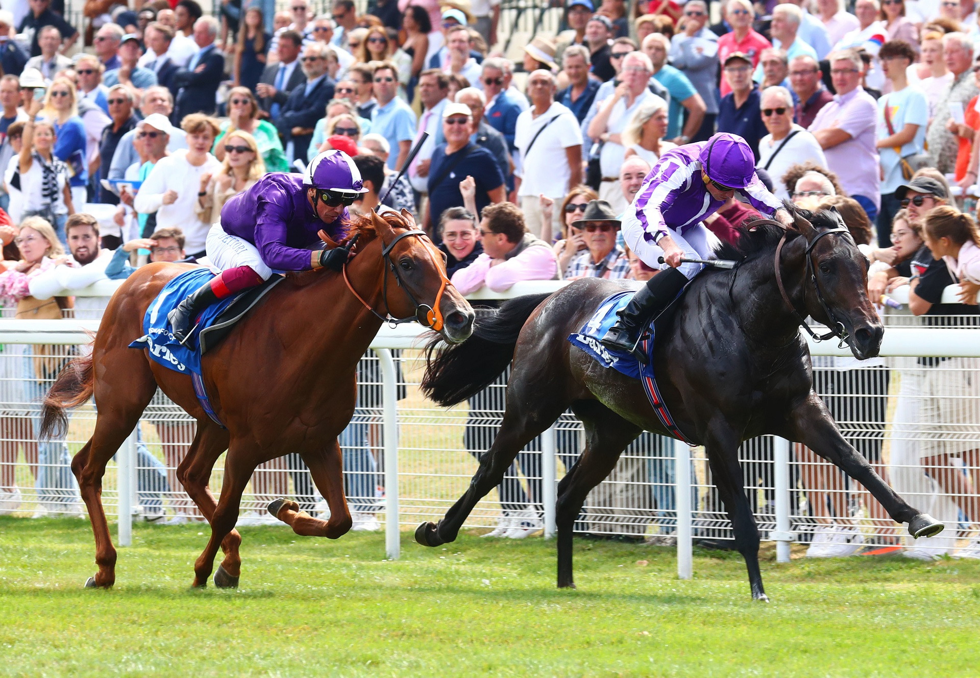 Blackbeard | Stallions - Coolmore Ireland