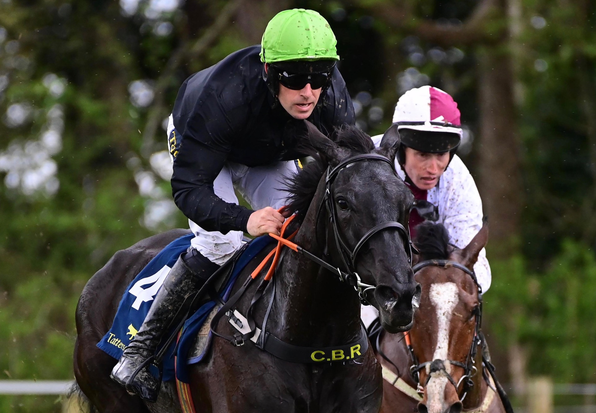 Soldier Of Fortune Four Year Old Makes Perfect Debut