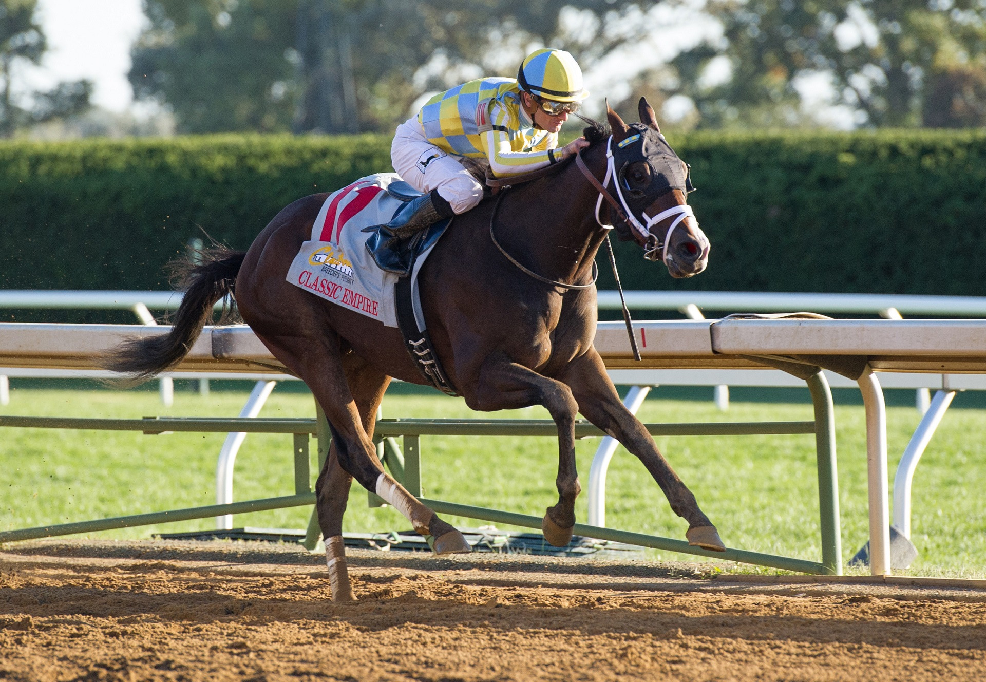 Classic-Empire-winning-the-G2-Breeders-Cup-Futurity.jpg#asset:15711