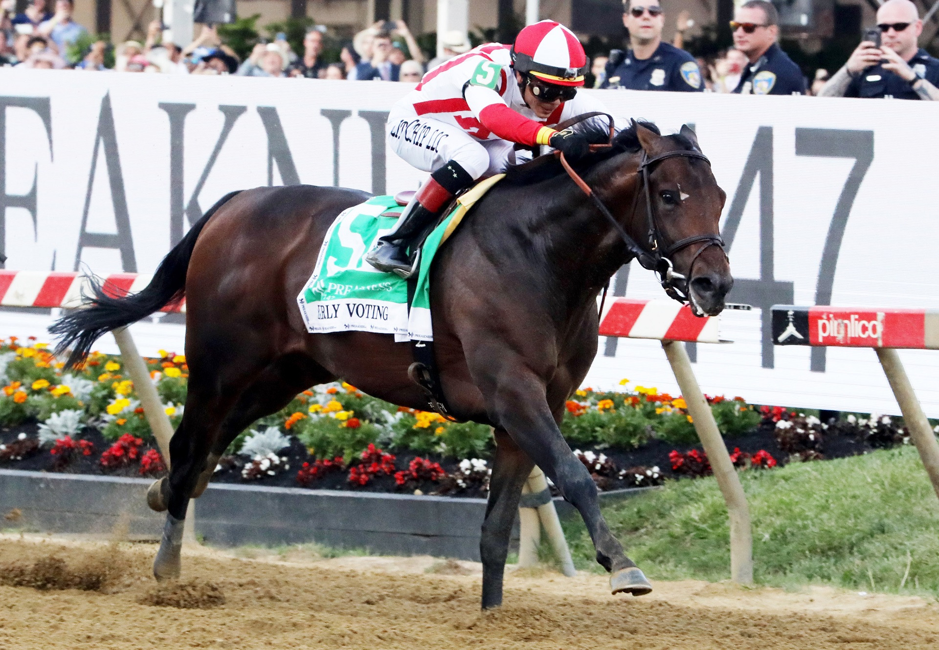 Preakness winner Early Voting to Ashford