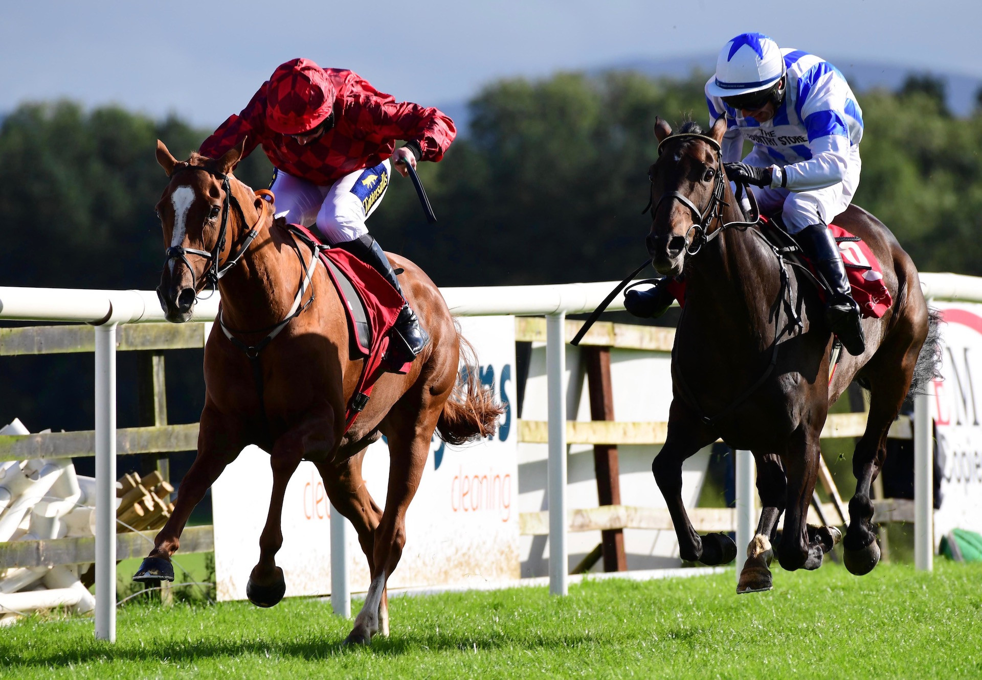 Talented Mares Complete Punchestown Double For Getaway