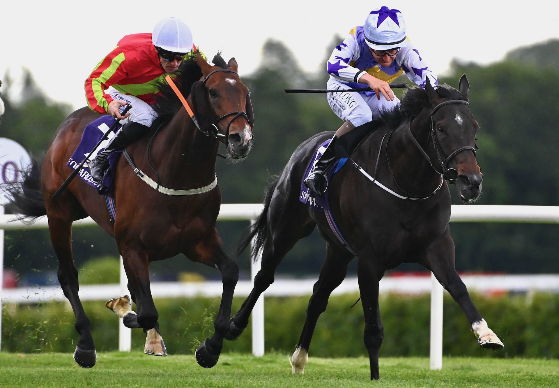 G1 Irish Derby Goal for Green Impact