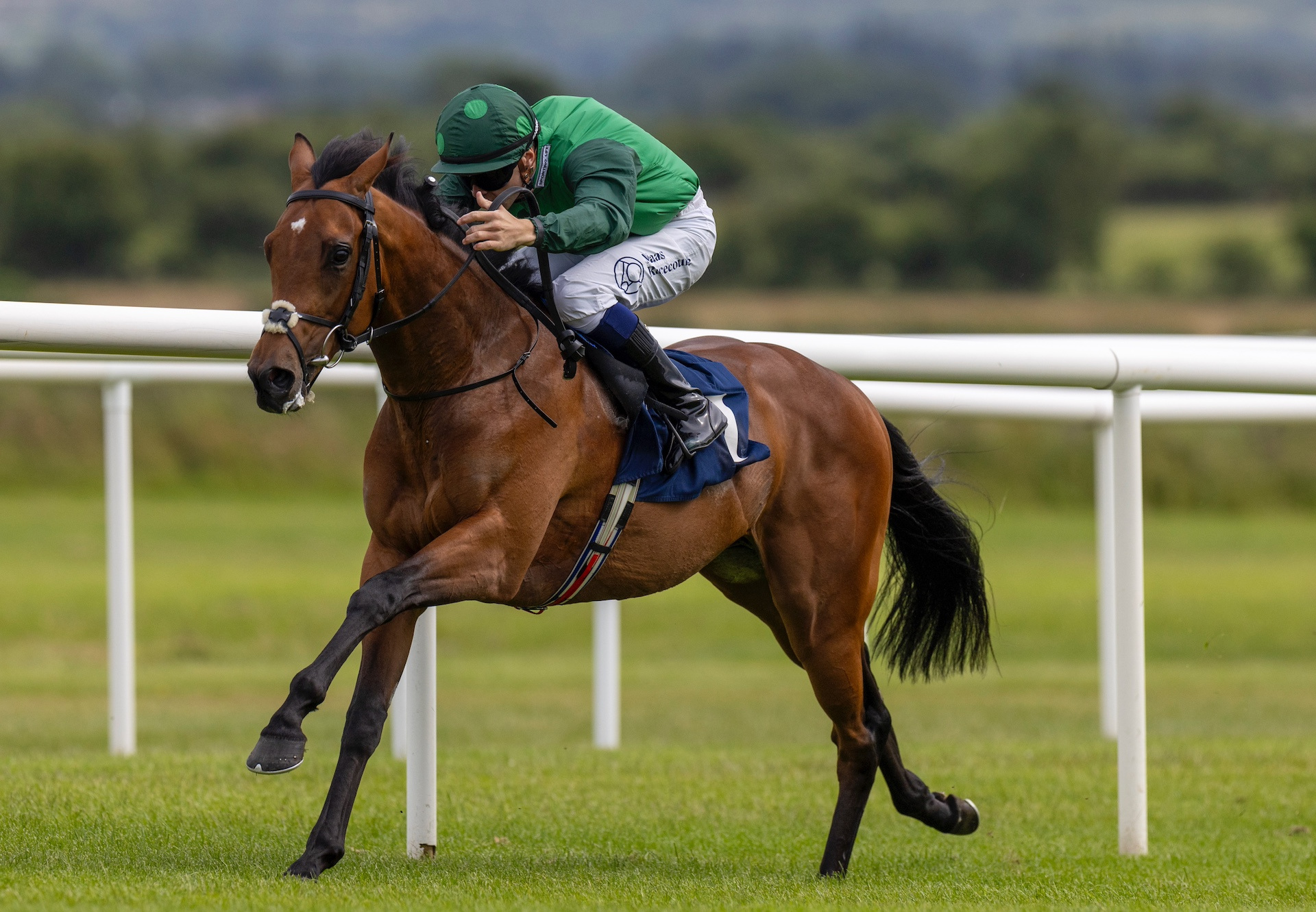 Gleneagles Colt Draws Clear In Juvenile Maiden