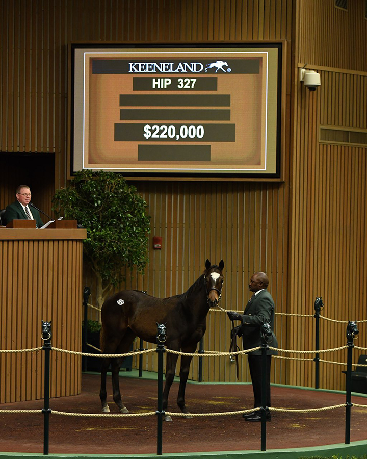 Hip-327-Classic-Empire-x-Mriya-KeeNov-Full.jpg#asset:20623