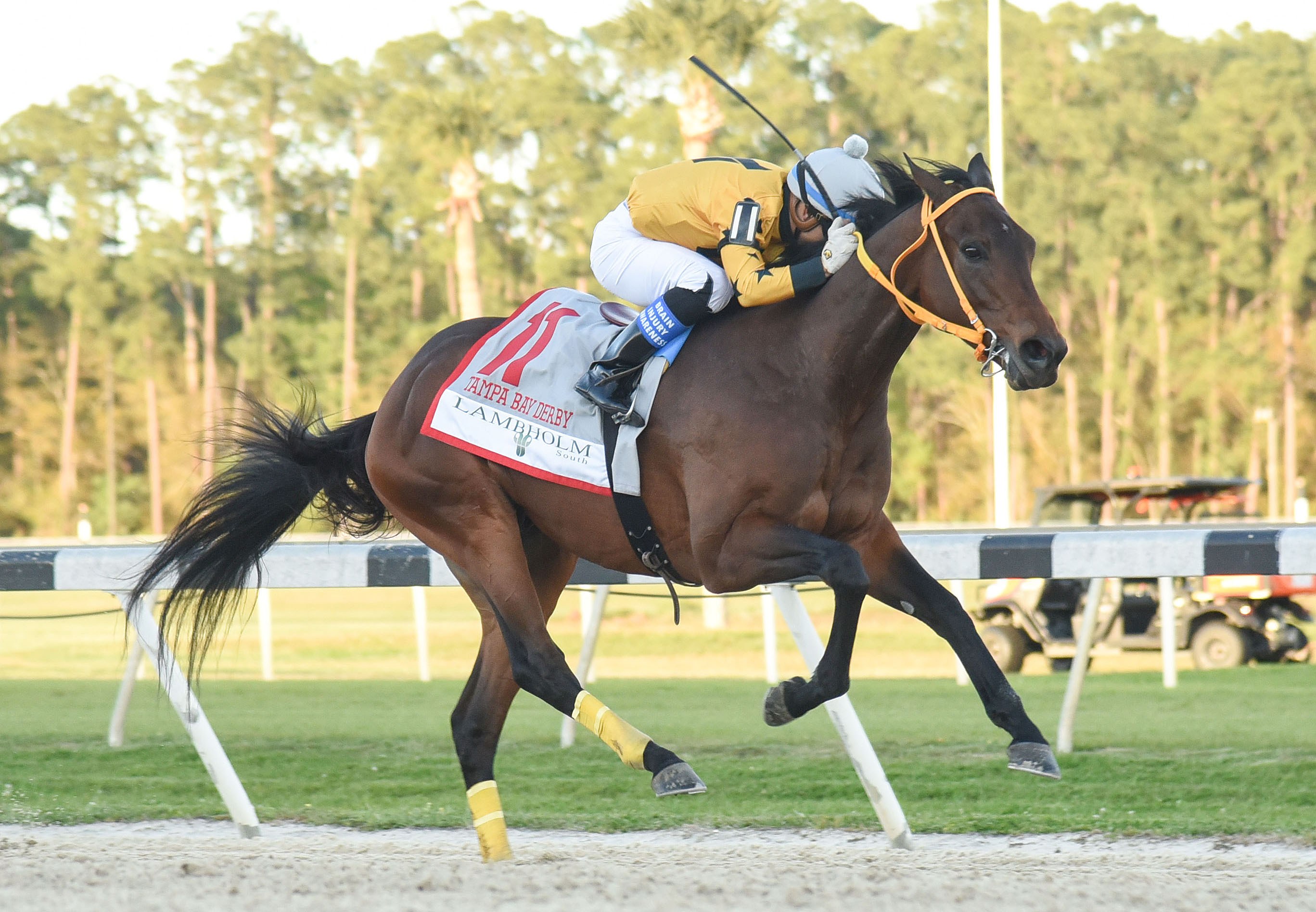 Uncle Mo’s King Guillermo Wins Tampa Bay Derby