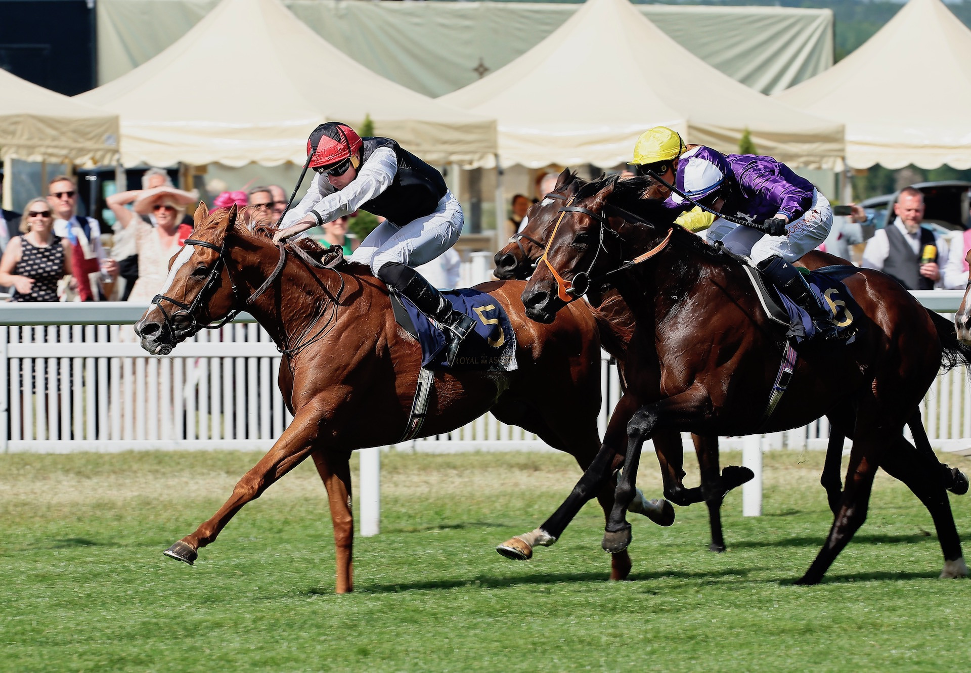 Ascot Gold Cup Victory Completes Royal Double For Galileo