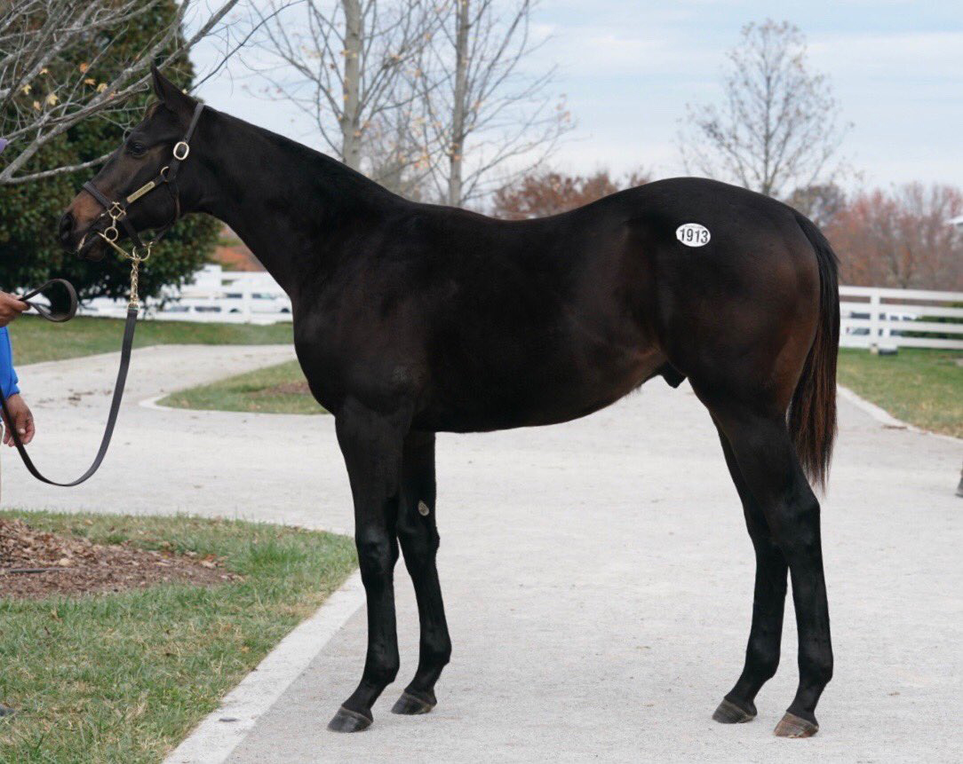 Mo-Town-x-Mybrokenhome-Colt-2020-KeeNov.jpg#asset:24820