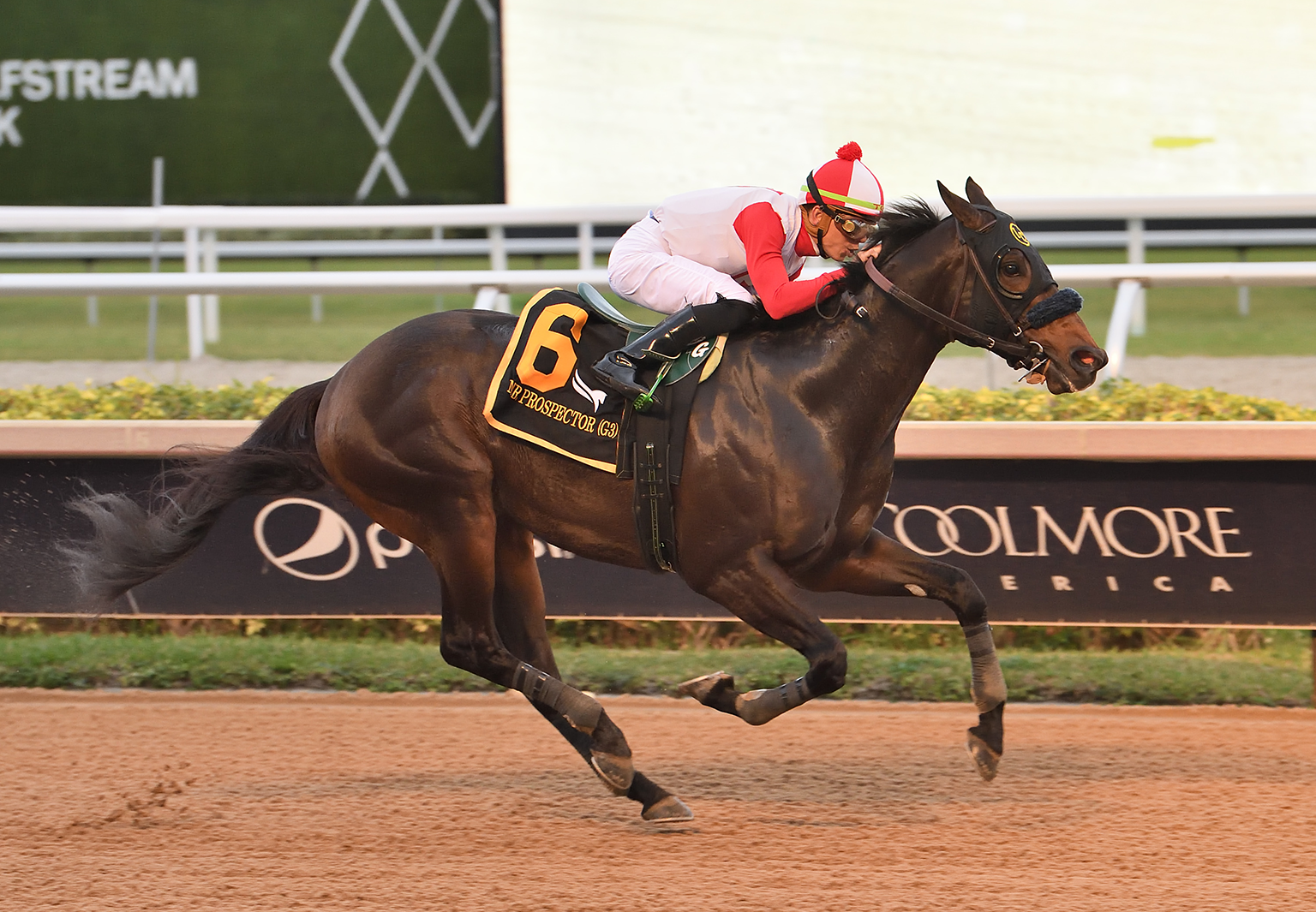 Mufasa Proves Best in G3 Mr. Prospector