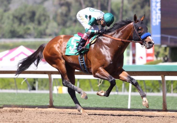 Impressive Santa Anita Winner for Lucky