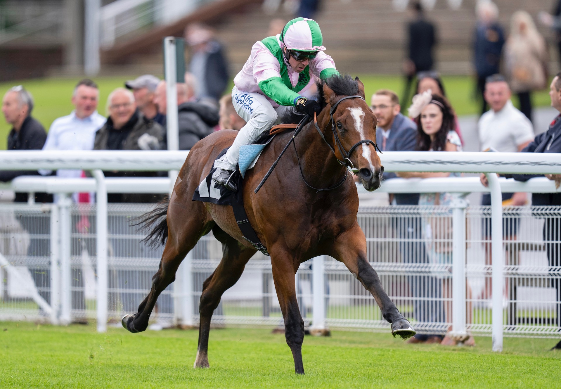 Impressive Gleneagles Colt Takes Aim At Coventry Stakes