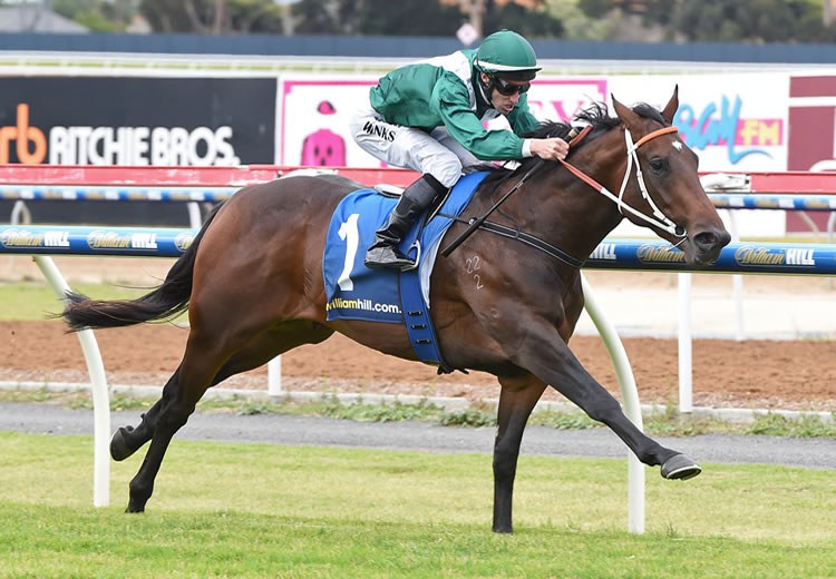 Promising Rock Juvenile