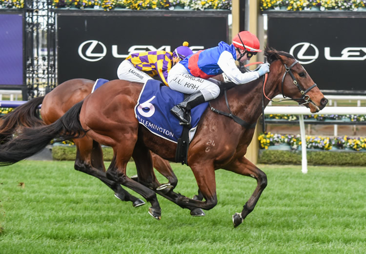 Flemington Winner for Rubick