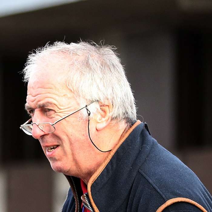 David Magnier