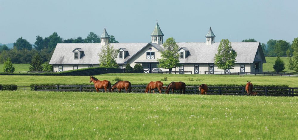 Coolmore America About Us Carousel 2