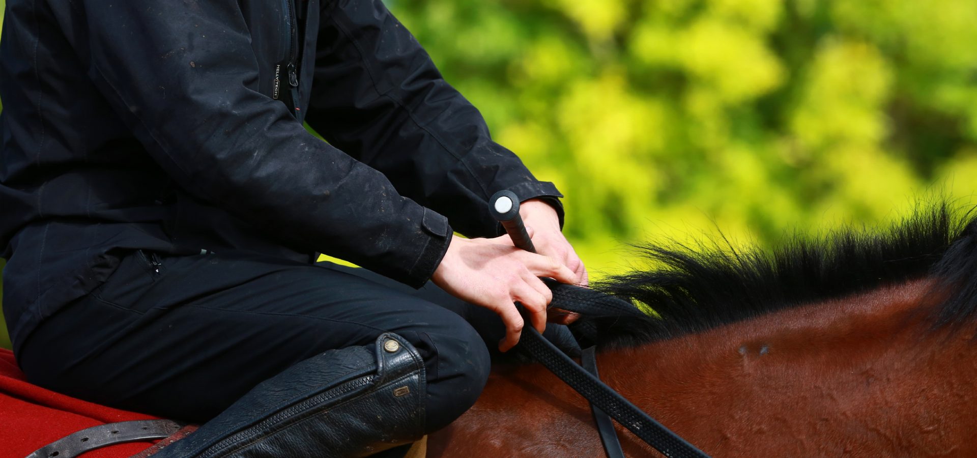 Ballydoyle Racing Stable Tipperary