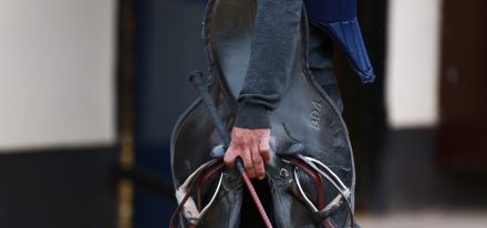 Balldyoyle Carousel 5