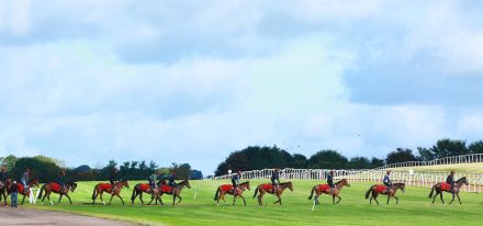 ballydoyle