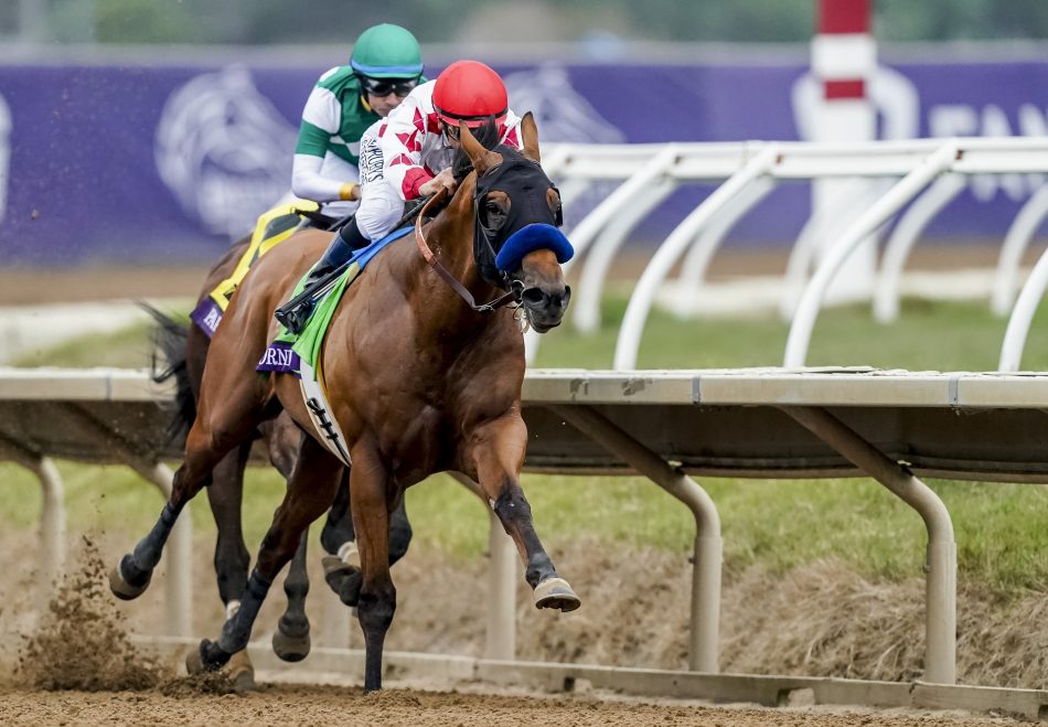 who much did coolmore america pay for saint patricks day