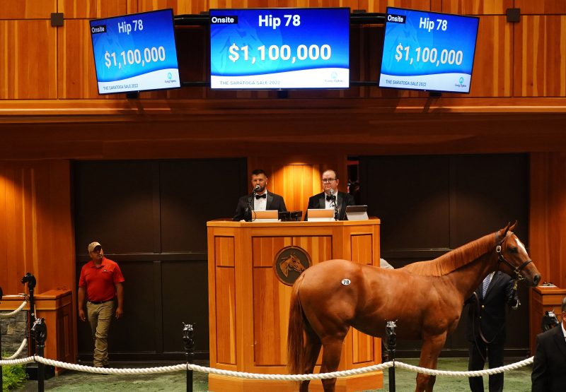 21 Justify X Slews Golden Rule sells for $1.1 million at Fasig-Tipton