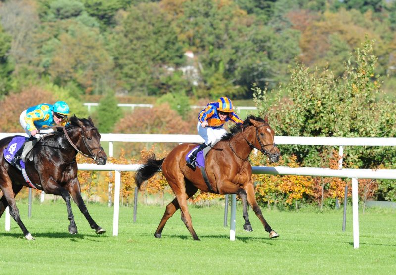 Coral Beach (Zoffany) winning the G3 Killavullan Stakes at Leopardstown