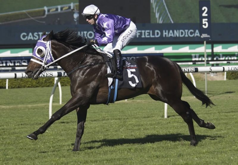 Achiever (Pride Of Dubai) winning at Randwick