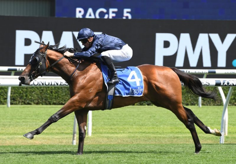 Acrobat (Fastnet Rock) winning the $500,000 Inglis Nursery at Randwick