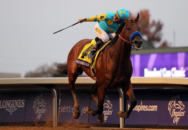 American Pharoah winning the Breeders Cup