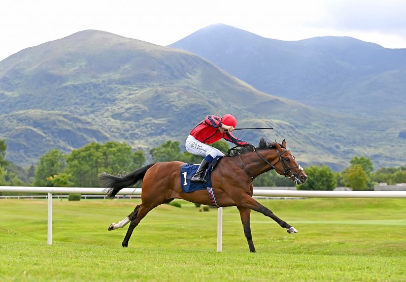 Apples And Bananas (Wootton Bassett) Wins At Killarney