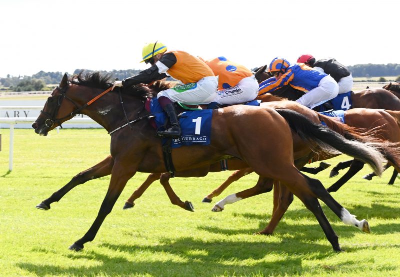 Aspen Grove (Justify) winning the Gr.3 Newtownanner Stud Irish Ebf Stakes at the Curragh