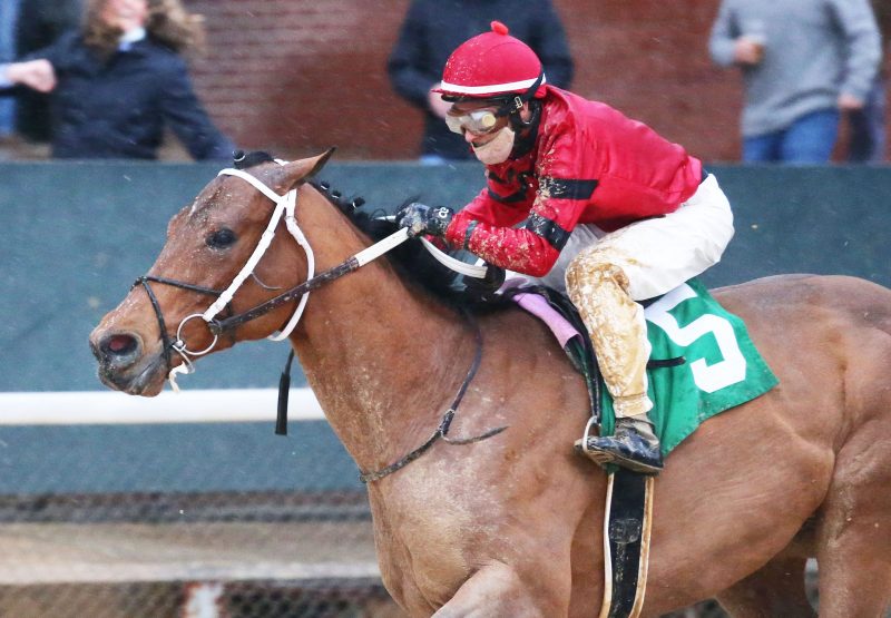 Boldor (Munnings) wins The King Cotton Stakes at Oaklawn Park