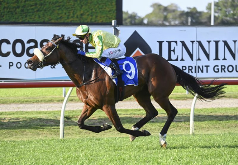 Banan Queen (So You Think) wins the Gr.3 Tibbie Stakes at Newcastle