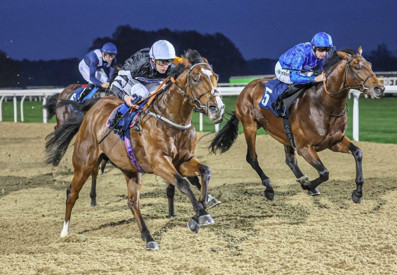 Be Patient St Marks Basilica Newcastle