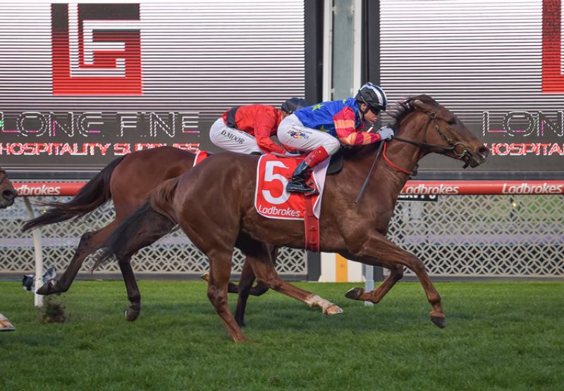 Bella Nipotina (Pride Of Dubai) wins the Listed Carlyon Stakes at Moonee Valley