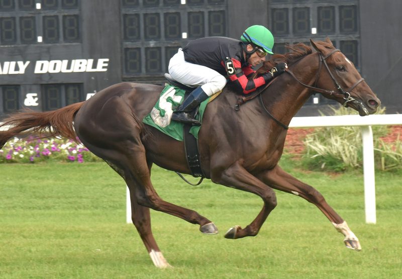 Bitcoin Passion American Pharoah Wins Tampa Maiden