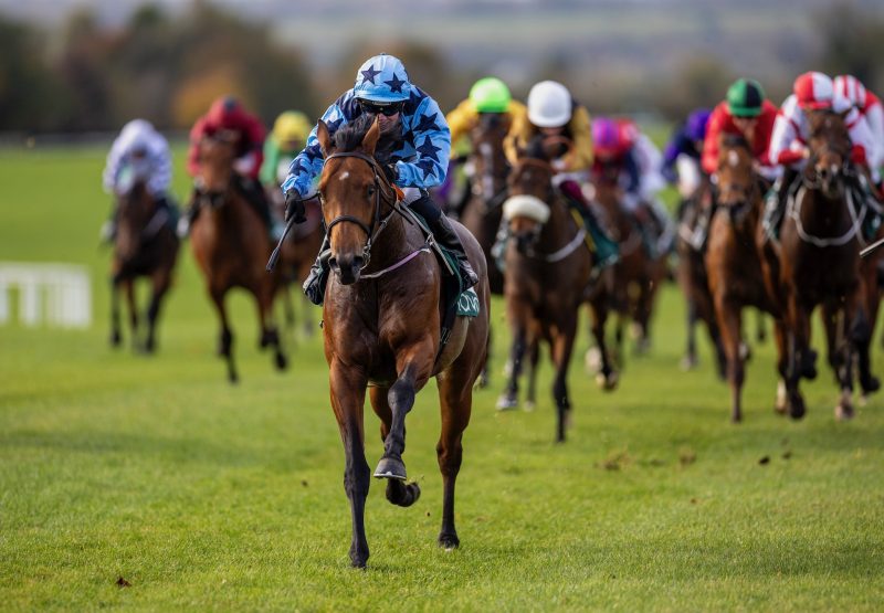 Bodhi Bear (Starspangledbanner) Wins His Maiden At Navan