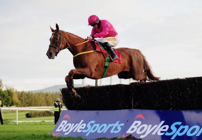 Brace Yourself (Mahler) Wins The Beginners Chase At Gowran Park