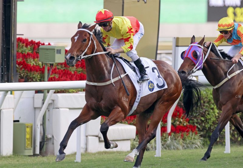 California Spangle (Starspangledbanner) Wins The Group 2 Sha Tin Trophy at Sha Tin