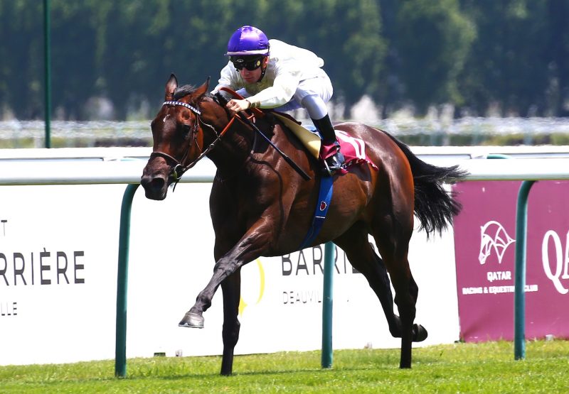 Camelot Filly Bolleville Impresses At Deauville