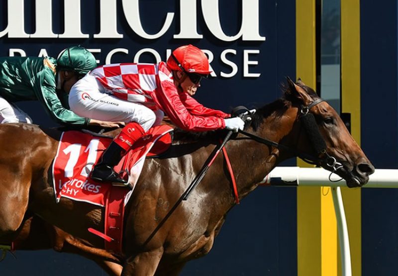 Catchy (Fastnet Rock) winning the G1 Blue Diamond at Caulfield