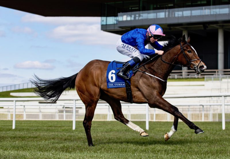 Cheerupsleepyjean (Starspangledbanner) Impresses On Debut At The Curragh