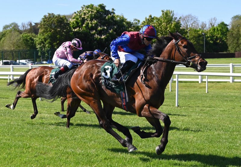 Cherry Blossom (No Nay Never) Wins The Listed Polonia Stakes At Cork
