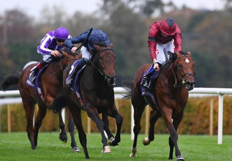 Christmas Day Camelot Leopardstown
