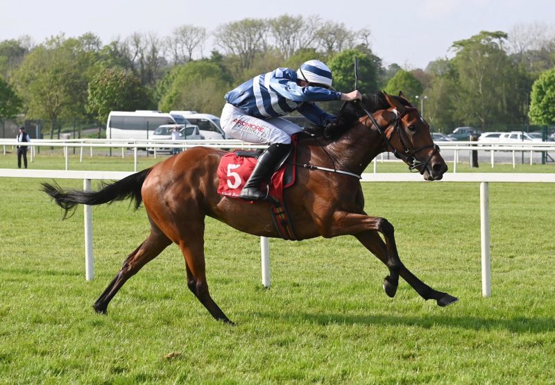 Churchfield Sunset (Wings of Eagles) Wins On Debut At Cork