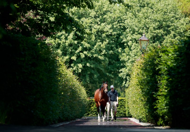 Churchill Walking