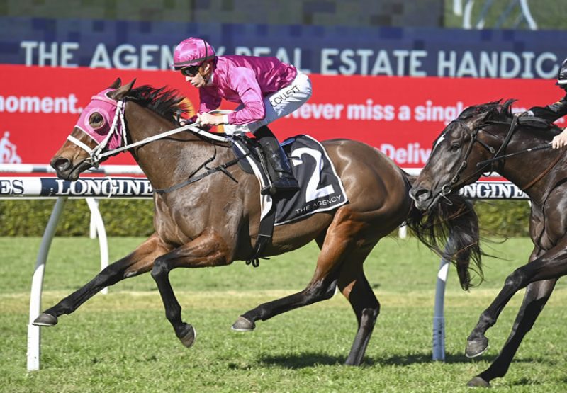 Cigar Flick (Churchill) wins at Randwick