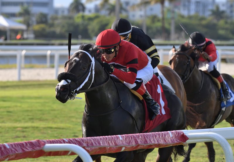 Classicstateofmind (Classic Empire) wins the Roar Stakes at Gulfstream Park