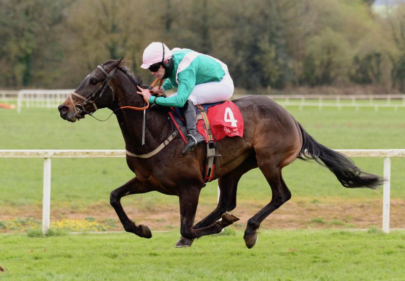 Cobblers Dream (Yeats) Wins The Bumper At Cork