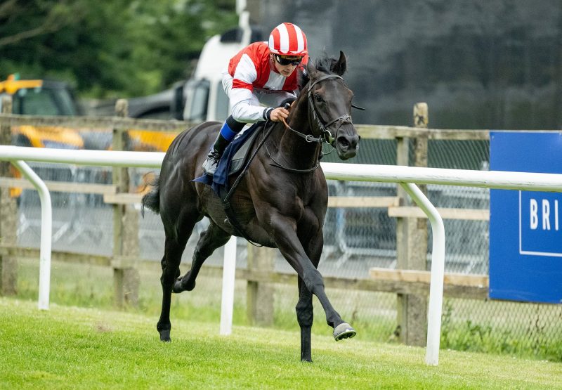 Coco Jack (Wings Of Eagles) winning at Brighton